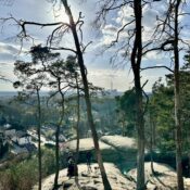 The Spring Issue | 2024