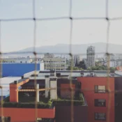 The Fall 2025 Issue | New Bulgarian Poetry